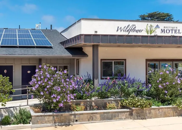 Willits Cheap Hotels