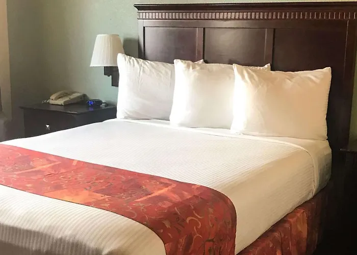 New Port Richey Cheap Hotels