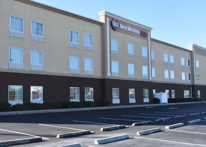 Saint Marys Cheap Hotels