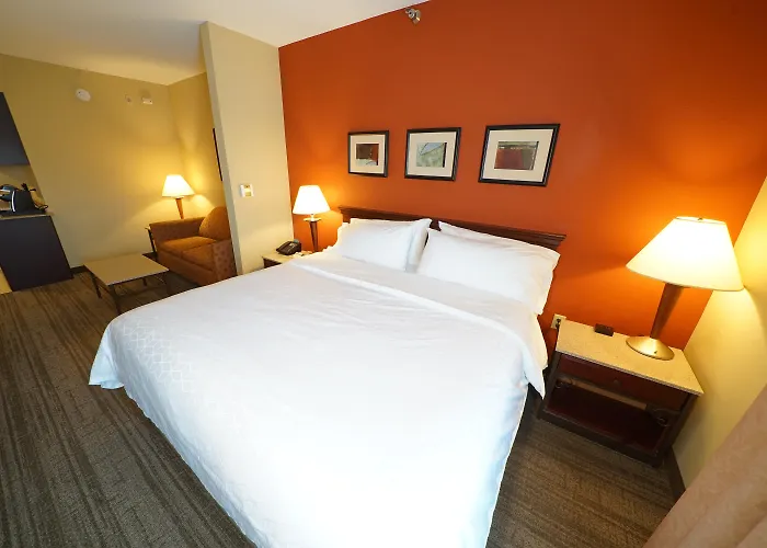 Oldsmar Cheap Hotels
