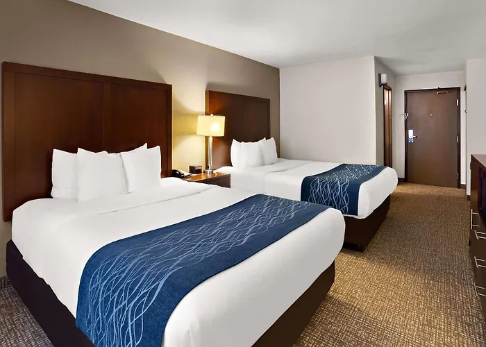 Lacey Cheap Hotels