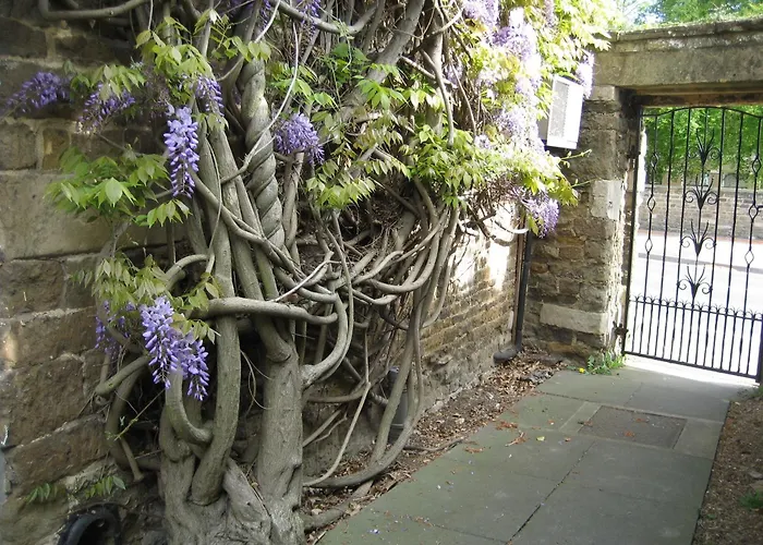 Oakham Cheap Hotels