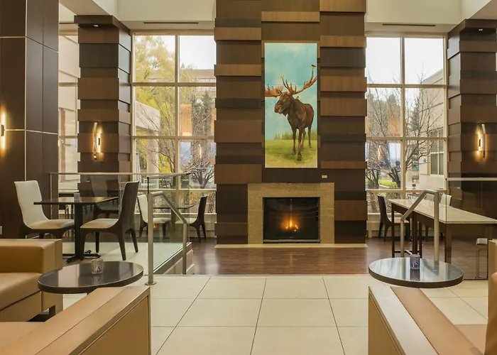 Minnetonka Cheap Hotels