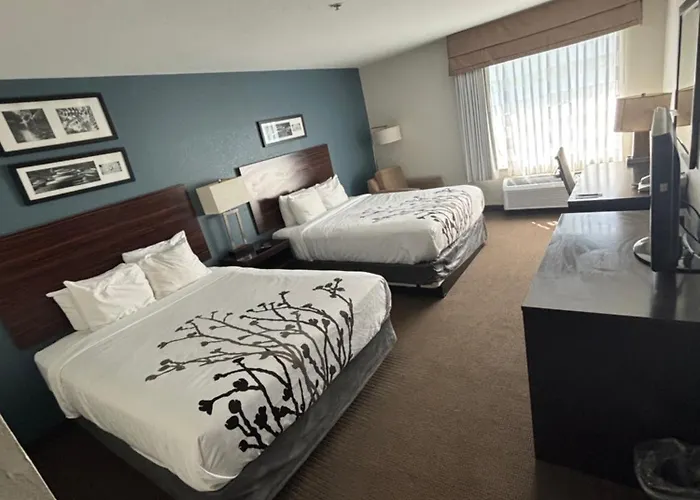 Palatka Cheap Hotels