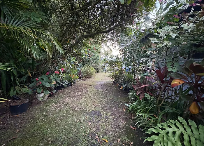 Hilo Cheap Hotels