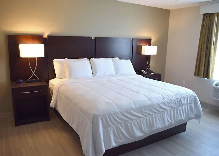 New Bern Cheap Hotels