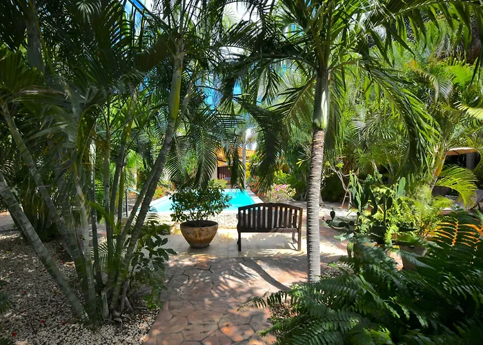 Aruba Cheap Hotels