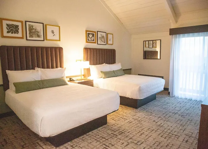 Bay City Cheap Hotels
