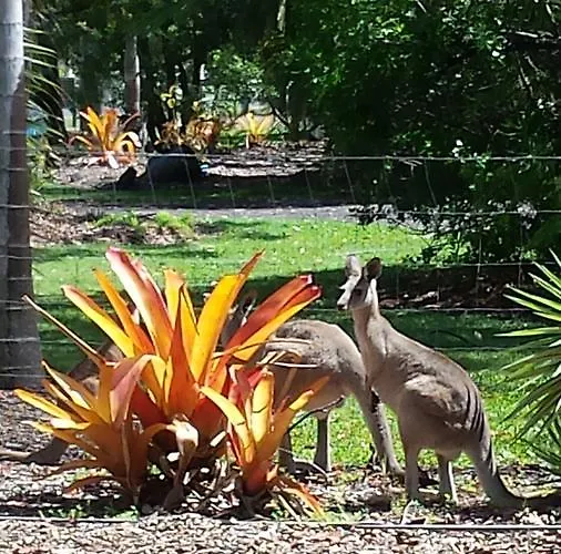 Bundaberg Cheap Hotels