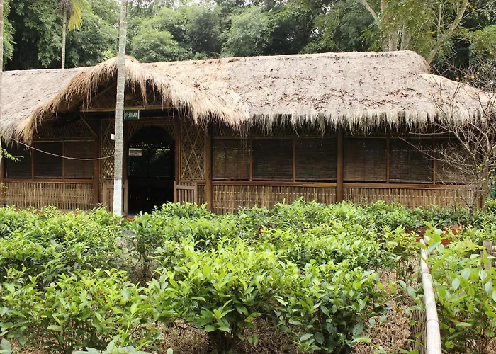 Kaziranga Cheap Hotels